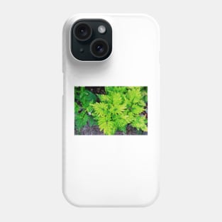 Red and Yellow Coleus Plant Leaves Phone Case