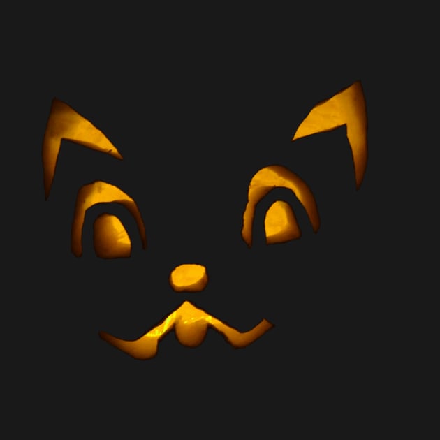 Pumpkin kitty by Amadej