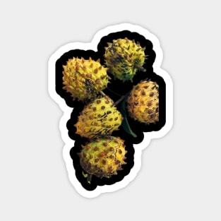 Rollinia deliciosa biribá Fruit Shirt Magnet