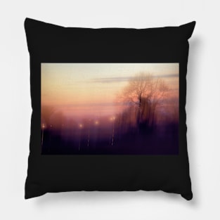 Illusions of Reality Pillow