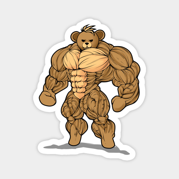 teddy bear with muscles