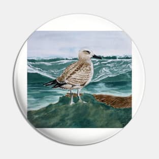 seagull on the shore Pin