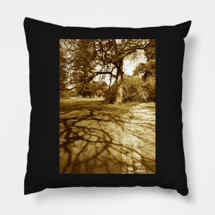 Tree shadows, Malvern Pillow