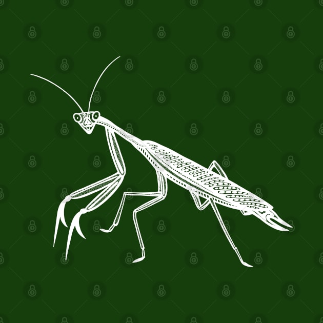 Praying Mantis Ink Art - cool detailed insect design by Green Paladin