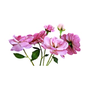 Miniature Pink Roses T-Shirt