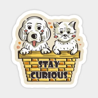 Stay Curious Magnet