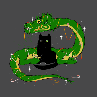 Funny cat and green dragon T-Shirt