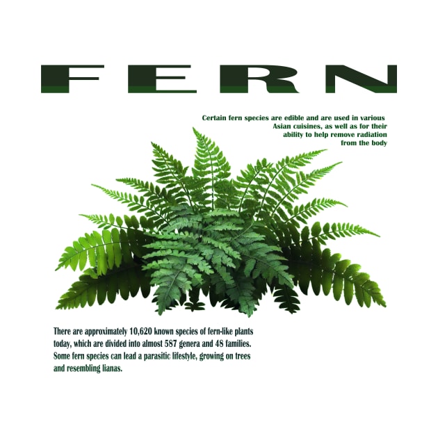 Fern green by Oranges