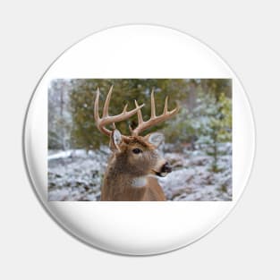 White-tailed buck Pin