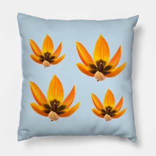 Tulips Pillow