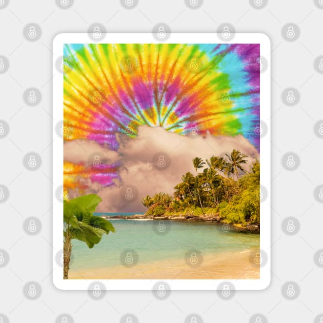 Hippie Tie Dye Palm Beach Magnet by Souls.Print