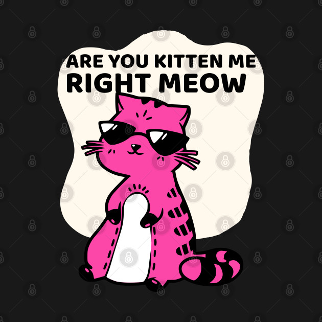 Disover are you kitten me right meow cat kidding - Are You Kitten Me Right Meow - T-Shirt