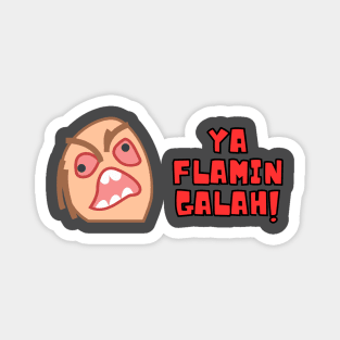 Ya Flamin Galah! Magnet