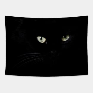 Black cat face and eyes Tapestry