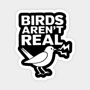Birds Aren't Real Conspiration Magnet