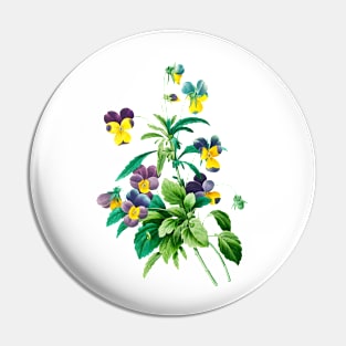 Viola - Botanical Illustration Pin