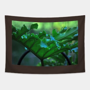 Big Leafy Leaf Tapestry