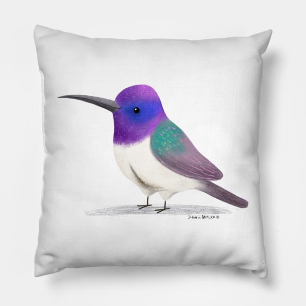 Ecuadorian Hillstar Hummingbird Pillow by julianamotzko