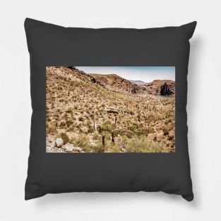 Apache Trail Scenic Drive View Pillow