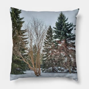 Alberta Winter 03 Pillow