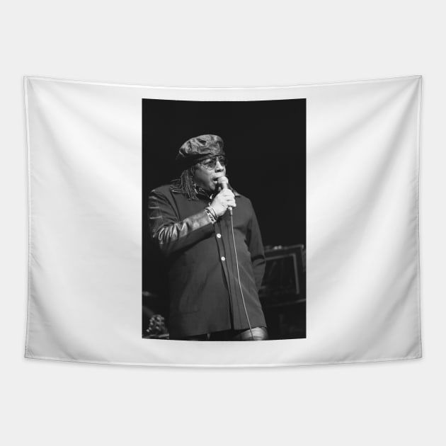 Rick James BW Photograph Tapestry by Concert Photos