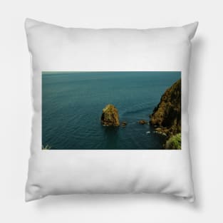 Channel Islands National Park Santa Cruz Island Pillow