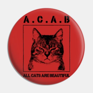 All Cats Are Beautiful Pin