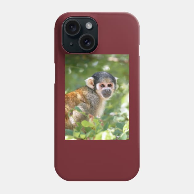 r3112/  New finition 2021 " LE PANASONIC FZ 1000  "  par Okaio Créations  Olavia - Olao Phone Case by caillaudolivier