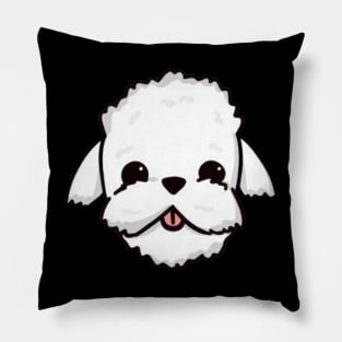 Fluffy Coin Pillow