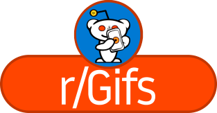 SubReddit: GIFs Magnet