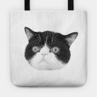 Isolated cat head. Tote