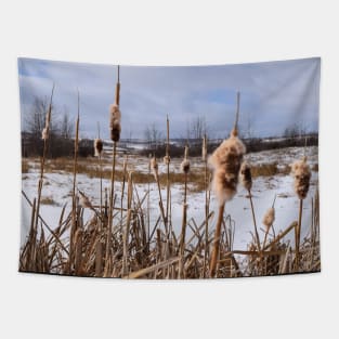 Red Deer Lake Bull Rushes. Tapestry