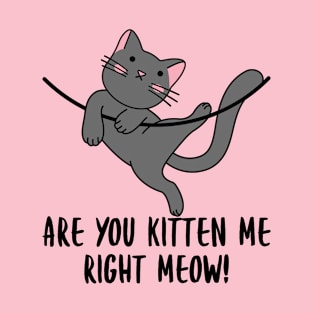 Are You Kitten Me Right Meow T-Shirt