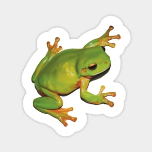 Gorgeous Green Tree Frog. Australian green frog. Cute frog illustration, realistically drawn Magnet