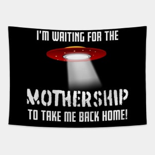 I'm waiting for the MOTHERSHIP to take me back home! Tapestry