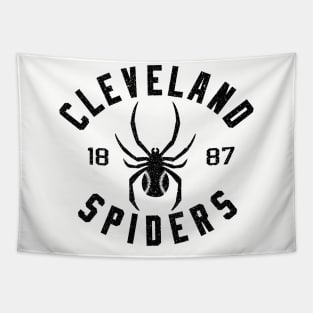 DEFUNCT - CLEVELAND SPIDERS 1887 Tapestry