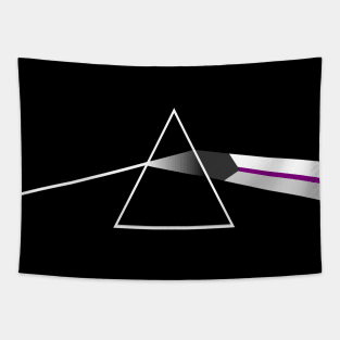 Demisexual Pride Prism Tapestry