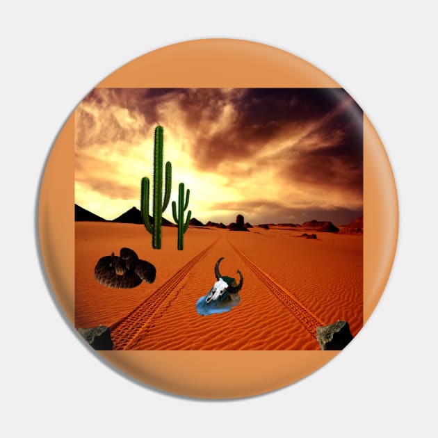 The Sailing Stones of Death Valley Pin by Myhamsters1