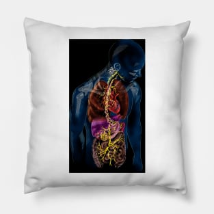 Vagus nerve anatomy, illustration (C037/4895) Pillow