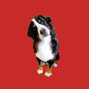 Bernese Mountain Dog Cute Head Tilt T-Shirt