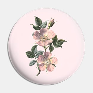 Dog Rose Illustration Pin