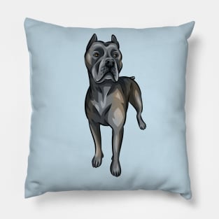 Cane Corso Dog | Blue Brindle Pillow