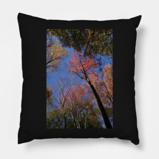 New England Foliage Feast Pillow