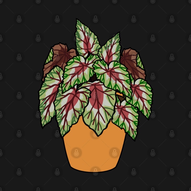 Begonia Rex Plant Illustration | Plant in a pot by gronly
