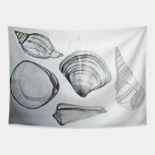 Sea Shells 4 by Margo Humphries Tapestry