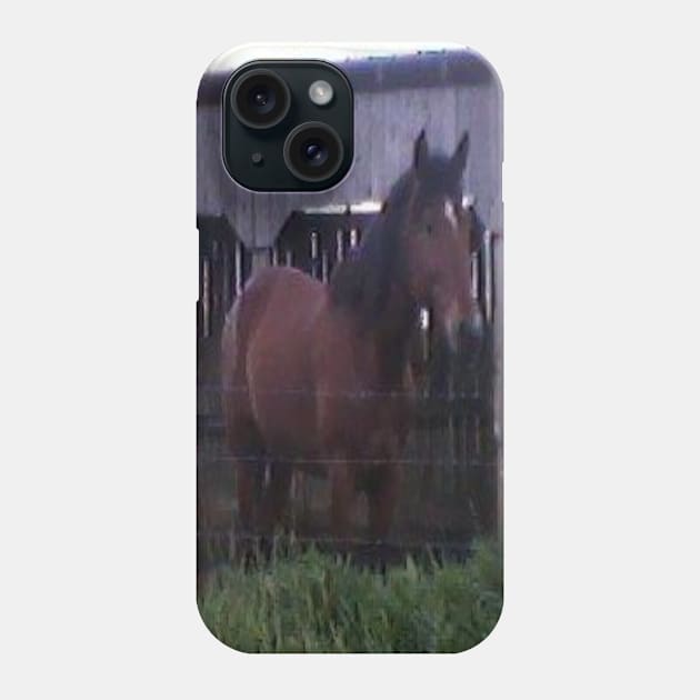 Amish Horse Picture Phone Case by Michael's Art