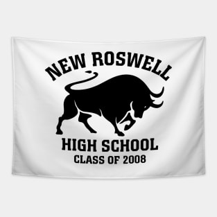 New Roswell High School Class of 2008 Tapestry