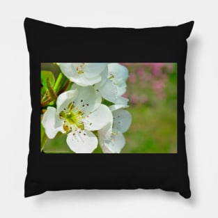 Spring is in the Air Pillow