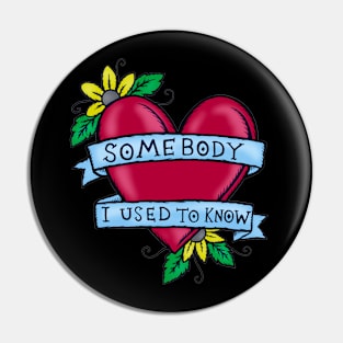 Somebody That I Used to Know – Illustrated Lyrics Pin