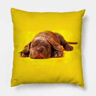 Cane Corso - Italian Mastiff Pillow